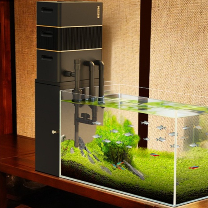 Filter Base Cabinet Wooden Fis - Seaweed Snack review and price